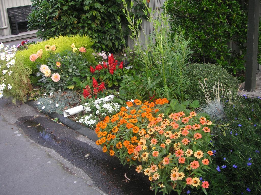 Christchurch Kiwi Holiday Park & Motels الغرفة الصورة